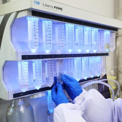 Kundenspezifische Peptidsynthesedienste