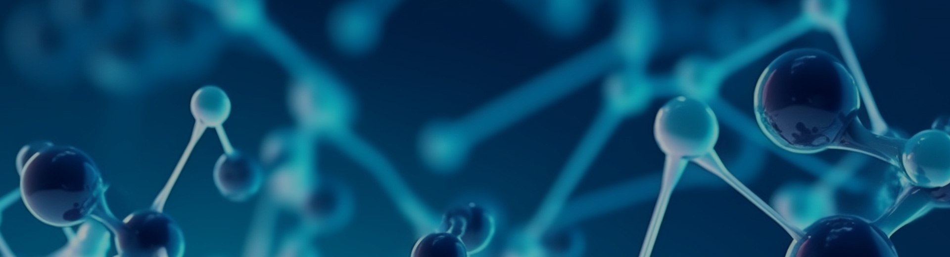 Verbundforschung und Technologietransfer