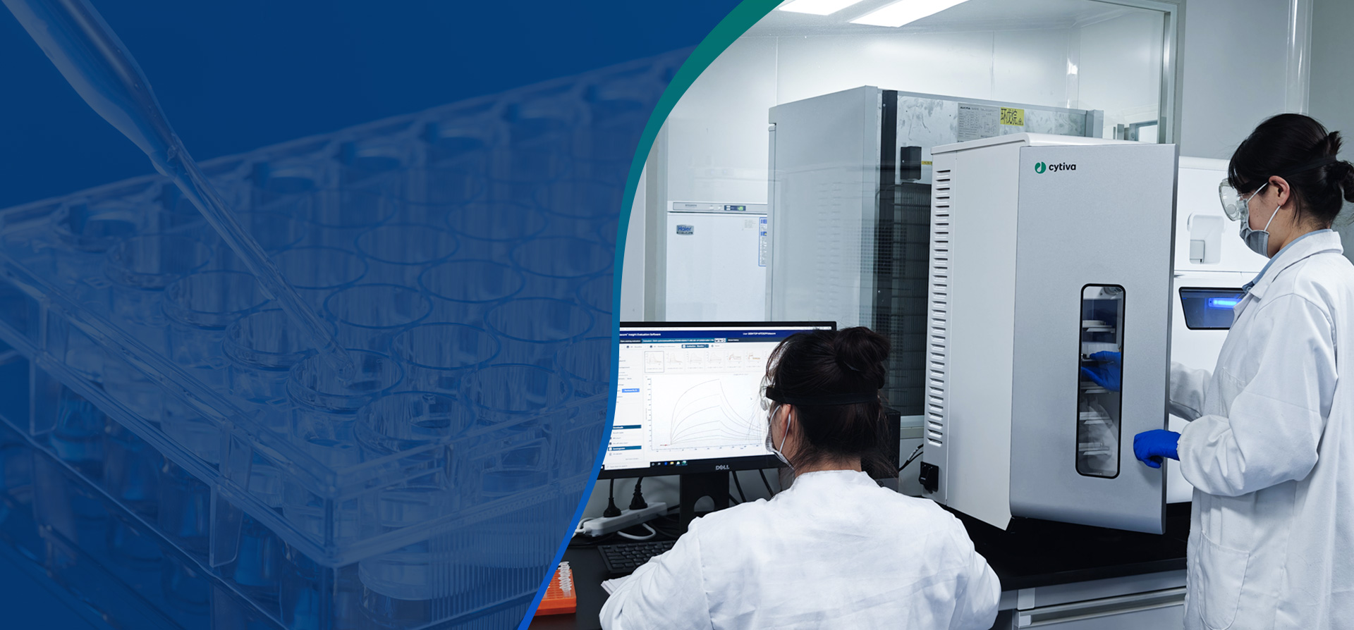 Hochdurchsatz-Screening basierend auf der 3D-strukturierten Peptidbibliothek und der MTDD-Plattform