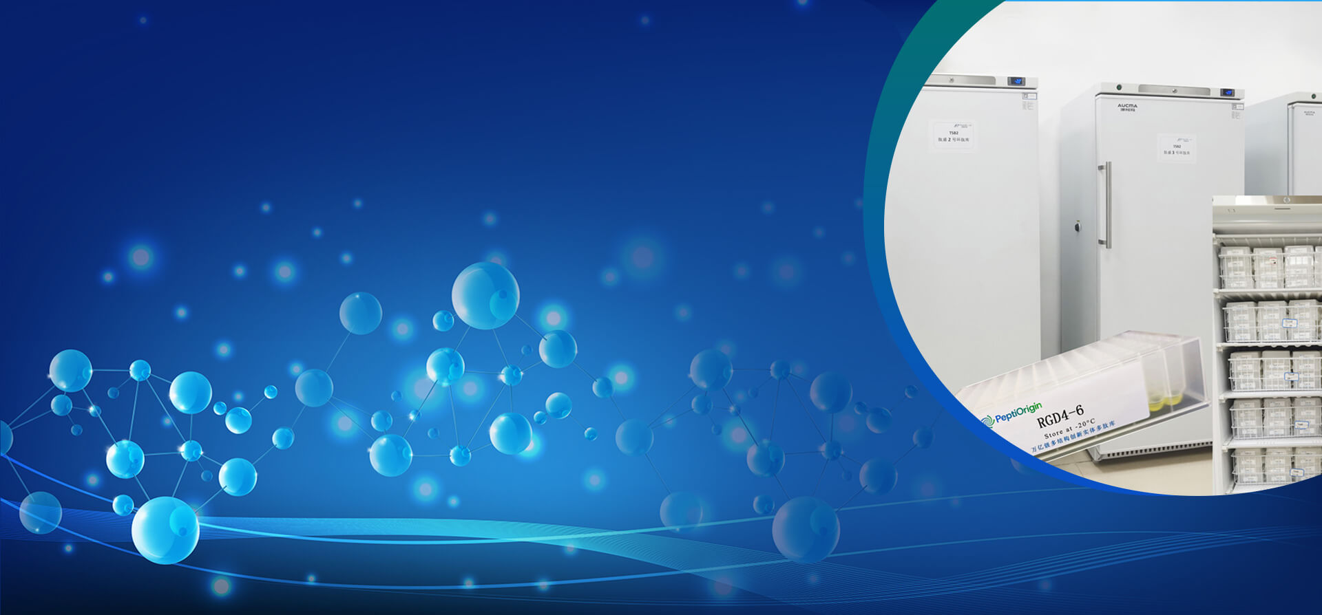 Revolutionäre Peptidbibliothek ermöglicht Durchbrüche in der Arzneimittelforschung